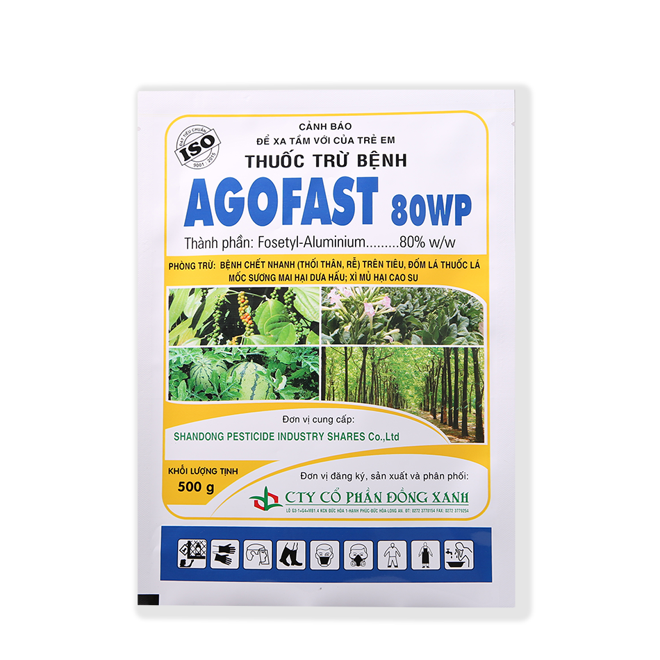 AGOFAST 80WP 